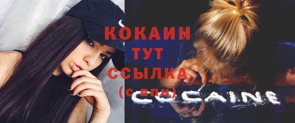 индика Карпинск