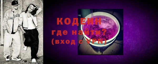 индика Карпинск