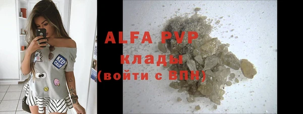 индика Карпинск