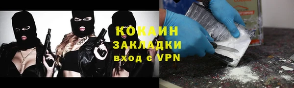 гашик Карталы