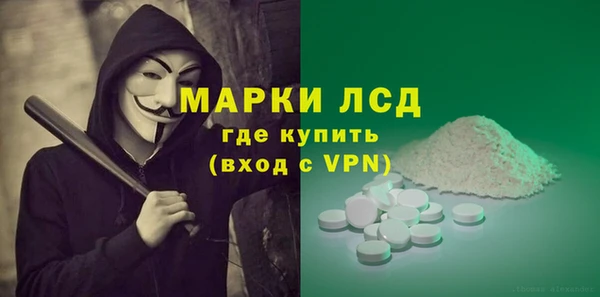 индика Карпинск