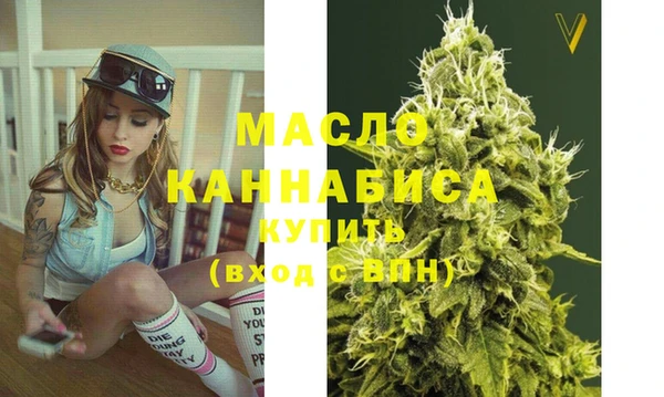 индика Карпинск
