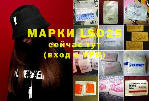 индика Карпинск