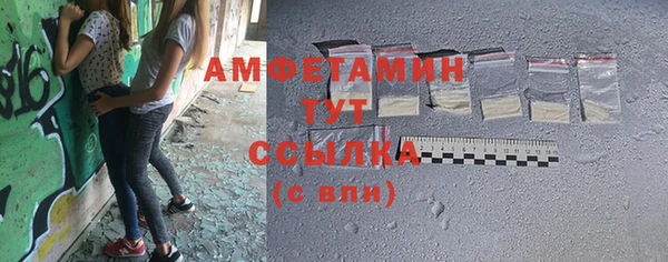 индика Карпинск