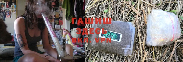 индика Карпинск