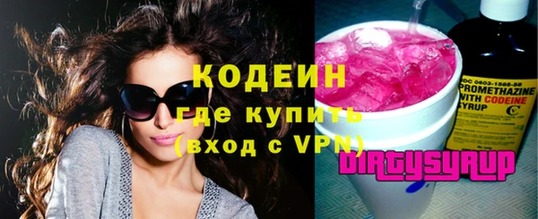индика Карпинск