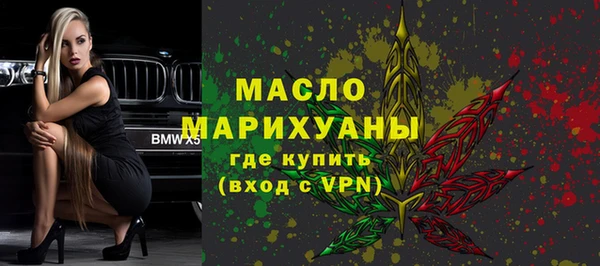 индика Карпинск