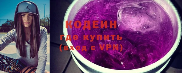 индика Карпинск