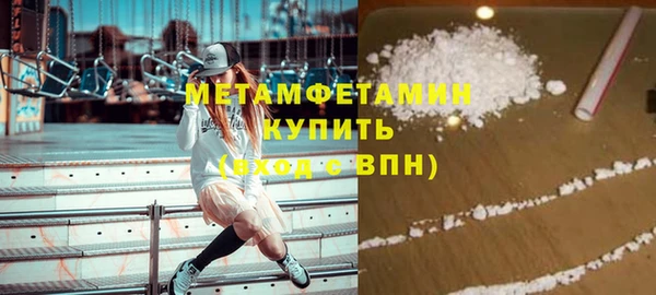 индика Карпинск