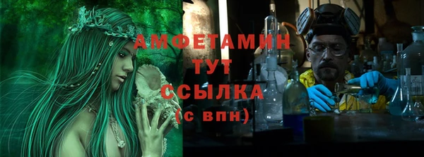 индика Карпинск