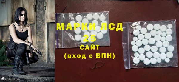 хмурый Касимов
