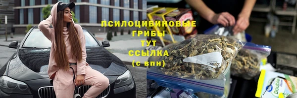индика Карпинск