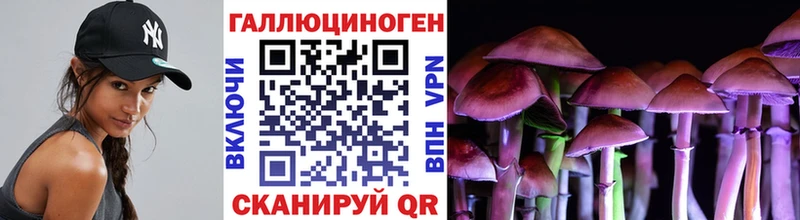 Купить где  Слободской  Галлюциногенные грибы MAGIC MUSHROOMS 