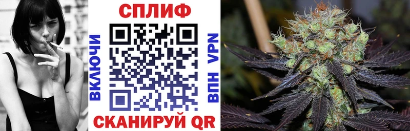Купить закладки  Слободской  Конопля гибрид 